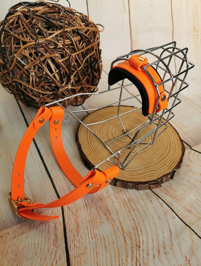 Maulkorb neon-orange Riemen.webp