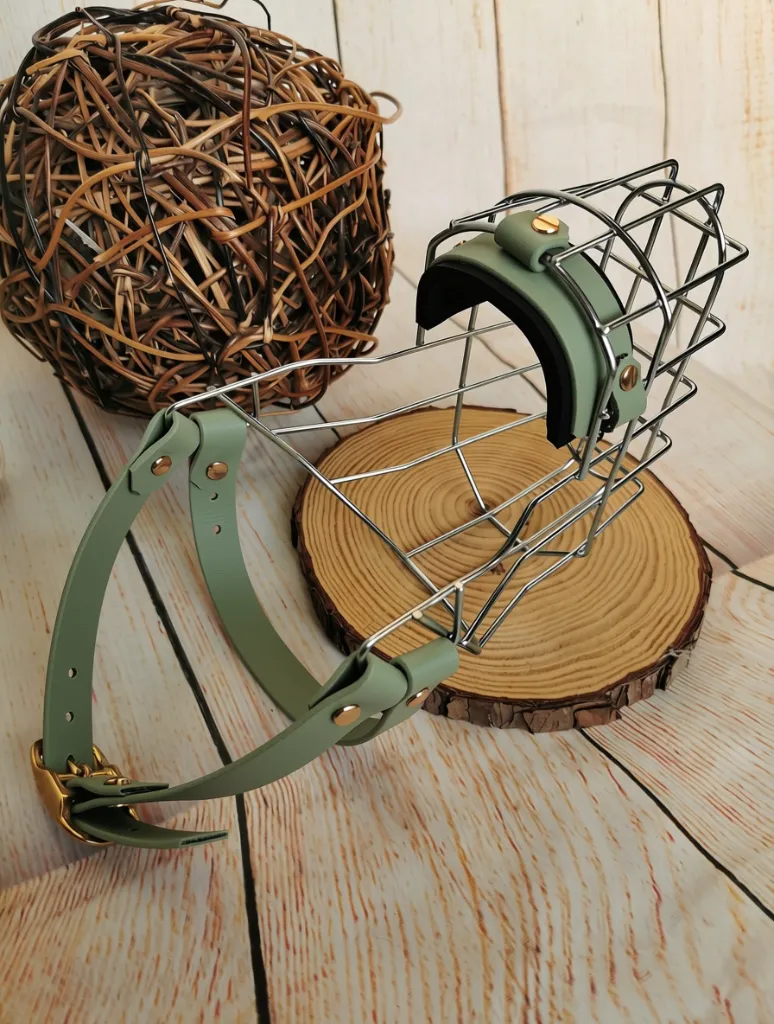 Maulkorb salbei Riemen.webp